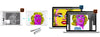 Adobe Illustrator 2022 Lifetime Version Windows