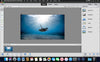 Adobe Photoshop Elements 2021 Lifetime Multilingual Mac